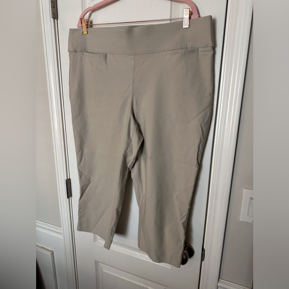 Briggs Beige Pull on Crop Pants 18W
